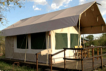 Mara Eden Safari Camp Kenya Mara Eden Safari Camp Kenya