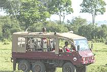 Mara Engai Wilderness Lodge Mara Engai Wilderness Lodge