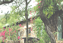 Mara Enkipai Safari Camp Mara Enkipai Safari Camp