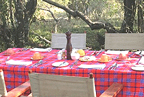 Mara Explorer Camp Masai Mara  Mara Explorer Camp Masai Mara