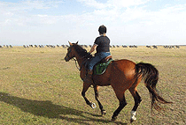 Mara Explorers Camp Backpackers