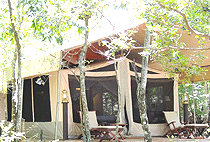 Mara Intrepids Tented Camp Masai Mara Mara Intrepids Tented Camp Masai Mara