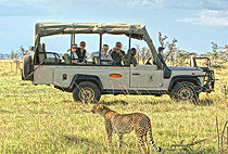 Mara Porini Camp Masai Mara