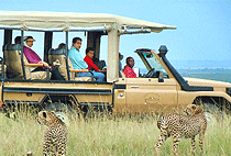 Mara River Camp Masai Mara