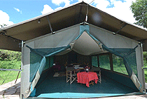 Mara Sidai Camp Masai Mara