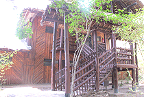 Mara Simba Lodge Masai Mara