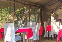 Mara Siria Camp Masai Mara Mara Siria Camp Masai Mara