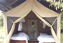 Masaimara Springs Camp