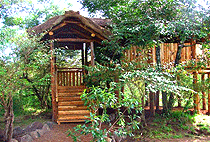 Mara Timbo Camp Masai Mara Mara Timbo Camp Masai Mara