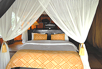 Mara Timbo Camp Masai Mara Mara Timbo Camp Masai Mara