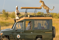 Matira Adventure Camp Masai Mara Matira Adventure Camp Masai Mara