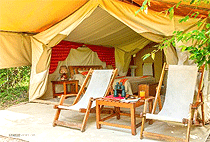 Matira Bush Camp Masai Mara Matira Bush Camp Masai Mara