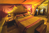 Matira Bush Camp Masai Mara Matira Bush Camp Masai Mara