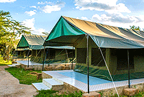 Miti Mingi Eco Tented Camp Masai Mara