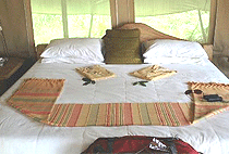 Naibor Wilderness Camp Masai Mara