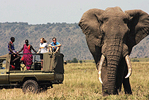 Ngare Serian Camp Masai Mara