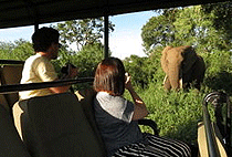 Ngerende Island Lodge Masai Mara