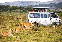 Ngerende Wild Riverview Lodge Masai Mara