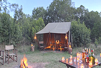 Ngerende Wild Riverview Lodge Masai Mara