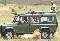 Ol Seki Hemingways Mara Camp