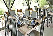 Porini Lion Camp Masai Mara