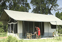 Porini Lion Camp Masai Mara