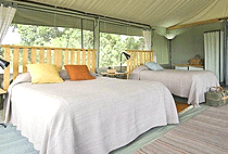 Porini Lion Camp Masai Mara