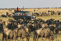 Rekero Camp Masai Mara 