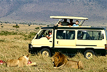 Rhino Tourist Tented Camp Masai Mara
