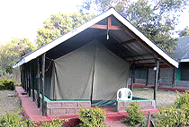 Rhino Tourist Tented Camp Masai Mara