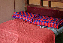 Riverside Camp Masai Mara