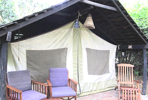 Sarova Mara Game Camp Masai Mara Sarova Mara Game Camp Masai Mara