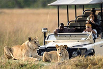 Saruni Mara Lodge Masai Mara North Conservancy Saruni Mara Lodge Masai Mara North Conservancy