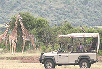 Saruni Wild Tented Camp Masai Mara Saruni Wild Tented Camp Masai Mara