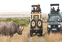 Sekenani Camp Maasai Mara Sekenani Camp Maasai Mara