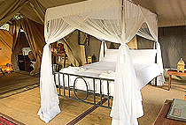 Sentinel Luxury Eco Tented Camp Masai Mara Sentinel Luxury Eco Tented Camp Masai Mara