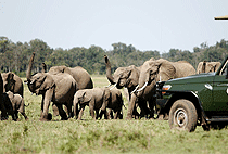 Sentrim Mara Camp Masai Mara National Reserve Sentrim Mara Camp Masai Mara National Reserve