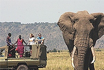 Serian Camp Masai Mara Serian Camp Masai Mara