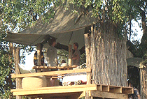 Serian Nest Tree House Masai Mara