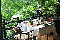 Shimba Hills National Reserve Mombasa South Coast