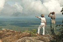 Shimba Hills National Reserve Mombasa South Coast