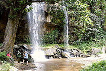 Shimba Hills National Reserve Mombasa South Coast Sheldrick falls