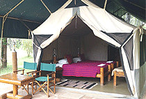 Siana Springs Tented Camp Masai Mara Siana Springs Tented Camp Masai Mara