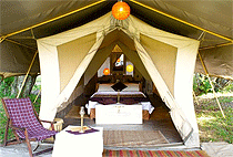 Spekes Camp Masai Mara Game Reserve Spekes Camp Masai Mara Game Reserve