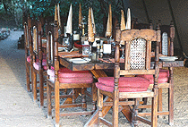 Spekes Camp Masai Mara Game Reserve Spekes Camp Masai Mara Game Reserve