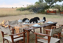 Spekes Camp Masai Mara Game Reserve Spekes Camp Masai Mara Game Reserve