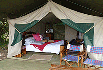 Tangulia Mara Camp Masai Mara 