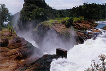2 Days 1 Night Murchison Falls National Park Safari