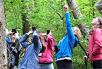 2 Day Jinja Tour Bujagali Falls River Nile Mabira Forest