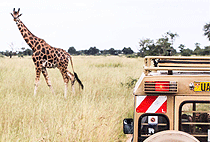3 Days 2 Nights Queen Elizabeth National Park Safari